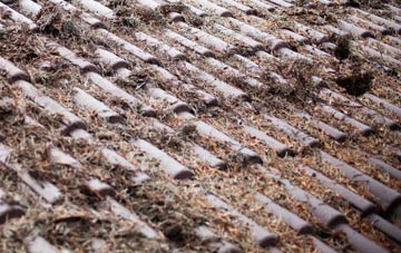 Horsham St Faith roof cleaning companies